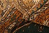 Shirvan Brown Hand Knotted 41 X 61 Area Rug 253-27223 Thumb 4