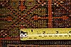 Kazak Red Hand Knotted 310 X 68 Area Rug 100-27224 Thumb 6