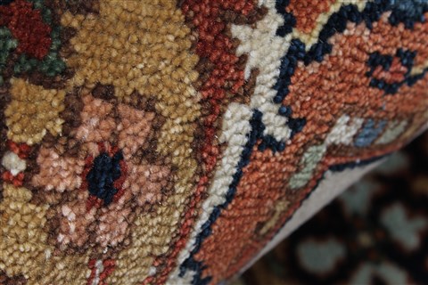 Serapi Brown Hand Knotted 311 X 511 Area Rug 250-27248 Image 1