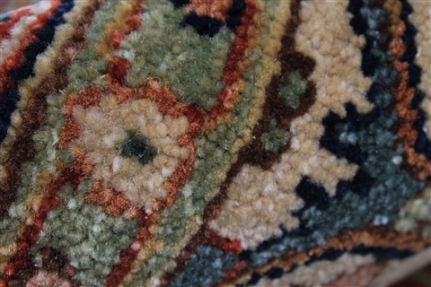 Serapi Brown Hand Knotted 40 X 60 Area Rug 250-27262 Image 12