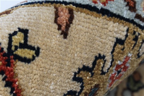 Serapi Beige Hand Knotted 40 X 60 Area Rug 250-27265 Image 11