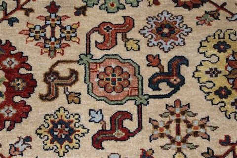 Serapi Beige Hand Knotted 40 X 60 Area Rug 250-27265 Image 6