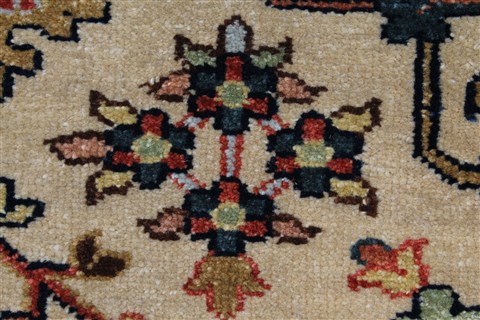 Serapi Beige Hand Knotted 40 X 60 Area Rug 250-27265 Image 9