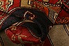 Kazak Red Hand Knotted 310 X 64 Area Rug 253-27303 Thumb 10