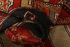 Kazak Red Hand Knotted 310 X 64 Area Rug 253-27303 Thumb 2