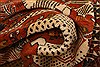 Gabbeh Red Hand Knotted 310 X 61 Area Rug 253-27310 Thumb 10