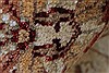 Pishavar Beige Hand Knotted 51 X 60 Area Rug 250-27369 Thumb 1
