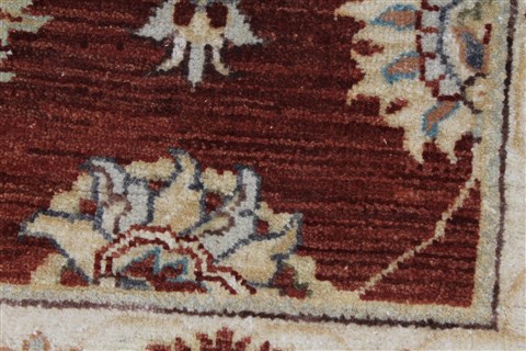 Ziegler Beige Hand Knotted 31 X 51 Area Rug 250-27371 Image 9