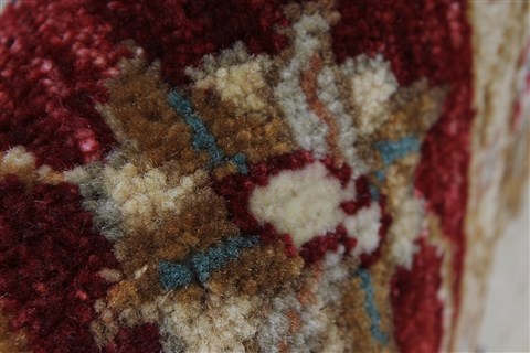 Ziegler Red Hand Knotted 30 X 50 Area Rug 250-27374 Image 12