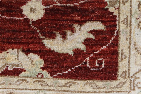 Pishavar Beige Hand Knotted 31 X 49 Area Rug 250-27377 Image 10