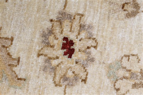 Pishavar Beige Hand Knotted 34 X 45 Area Rug 250-27378 Image 9