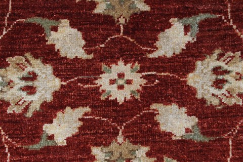 Pishavar Beige Hand Knotted 32 X 49 Area Rug 250-27380 Image 6