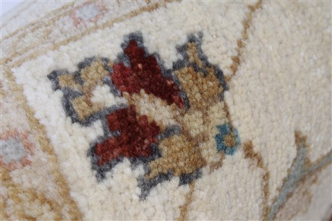 Ziegler Beige Hand Knotted 30 X 53 Area Rug 250-27386 Image 10