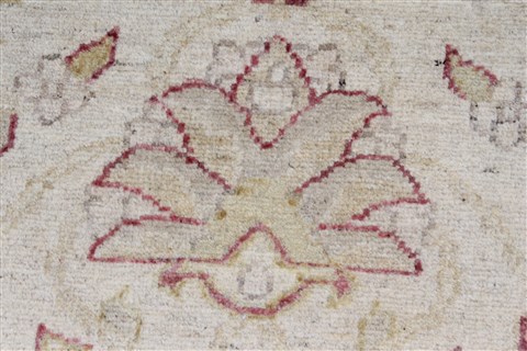 Pishavar Beige Hand Knotted 36 X 52 Area Rug 250-27394 Image 9