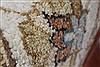 Ziegler Beige Hand Knotted 30 X 52 Area Rug 250-27399 Thumb 9