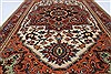 Serapi Brown Hand Knotted 211 X 410 Area Rug 250-27409 Thumb 8