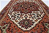 Serapi Brown Hand Knotted 211 X 410  Area Rug 250-27409 Thumb 8