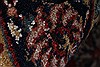 Sarouk Brown Hand Knotted 31 X 411 Area Rug 250-27412 Thumb 12