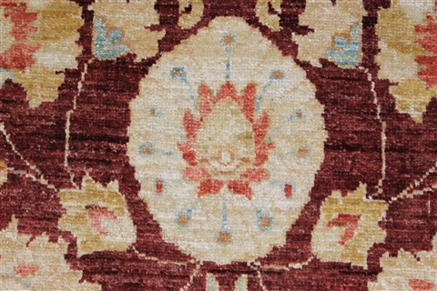 Pishavar Beige Hand Knotted 32 X 50 Area Rug 250-27421 Image 7