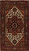 Serapi Brown Hand Knotted 211 X 50  Area Rug 250-27422 Thumb 0