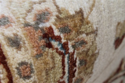 Ziegler Beige Hand Knotted 31 X 54 Area Rug 250-27440 Image 9