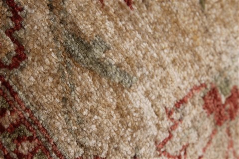 Pishavar Beige Hand Knotted 32 X 46 Area Rug 250-27441 Image 11