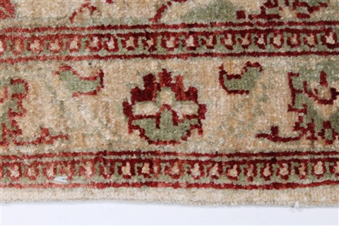 Pishavar Beige Hand Knotted 32 X 46 Area Rug 250-27441 Image 5