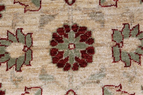 Pishavar Beige Hand Knotted 32 X 46 Area Rug 250-27441 Image 6