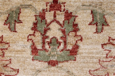 Pishavar Beige Hand Knotted 32 X 46 Area Rug 250-27441 Image 9