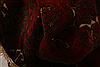 Bokhara Red Runner Hand Knotted 21 X 49 Area Rug 253-27444 Thumb 2