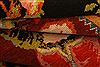 Karabakh Red Hand Knotted 44 X 64 Area Rug 253-27450 Thumb 5