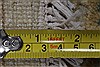 Ziegler Beige Hand Knotted 211 X 50 Area Rug 250-27480 Thumb 2