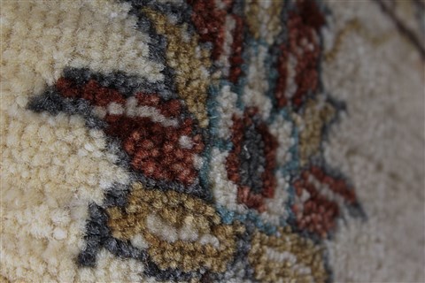 Ziegler Beige Hand Knotted 31 X 50 Area Rug 250-27491 Image 8