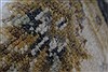 Ziegler Beige Hand Knotted 30 X 50 Area Rug 250-27509 Thumb 10