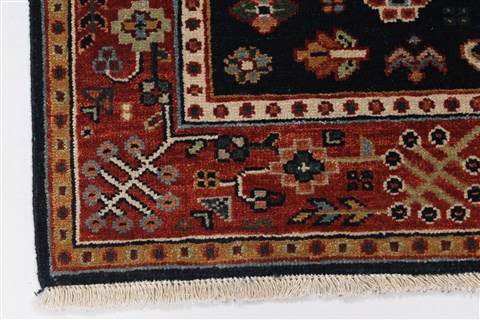 Serapi Red Hand Knotted 30 X 50 Area Rug 250-27515 Image 7