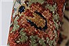 Serapi Multicolor Hand Knotted 30 X 411  Area Rug 250-27518 Thumb 9
