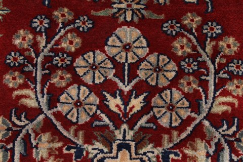 Sarouk Beige Hand Knotted 30 X 410 Area Rug 250-27587 Image 7