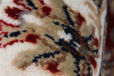 Sarouk Beige Hand Knotted 30 X 410 Area Rug 250-27587 Image 9