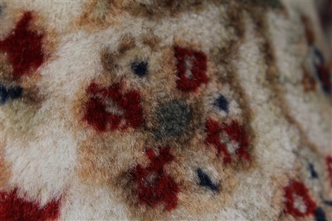 Sarouk Beige Hand Knotted 30 X 51 Area Rug 250-27597 Image 9