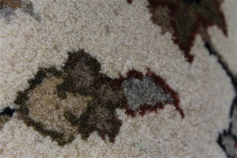 Kashan Beige Hand Knotted 32 X 51 Area Rug 250-27607 Image 10