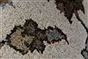 Kashan Beige Hand Knotted 32 X 51 Area Rug 250-27607 Thumb 10
