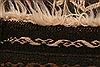 Baluch Brown Runner Hand Knotted 24 X 62 Area Rug 253-27615 Thumb 6