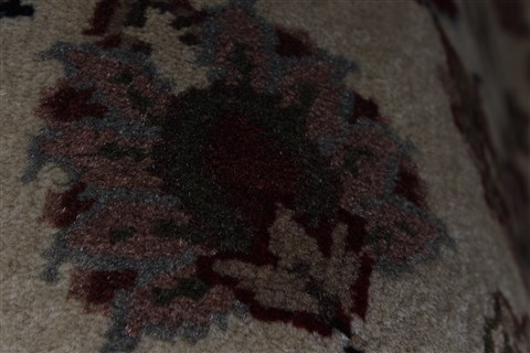 Kashmar Beige Hand Knotted 31 X 51 Area Rug 250-27633 Image 8