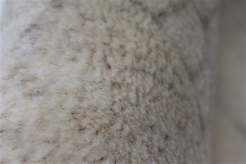 Gabbeh Beige Hand Knotted 30 X 50 Area Rug 250-27653 Image 7