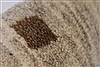 Gabbeh Beige Hand Knotted 30 X 52 Area Rug 250-27658 Thumb 6