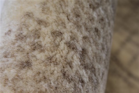 Gabbeh Beige Hand Knotted 211 X 50 Area Rug 250-27661 Image 1