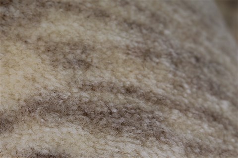 Gabbeh Beige Hand Knotted 211 X 50 Area Rug 250-27661 Image 9