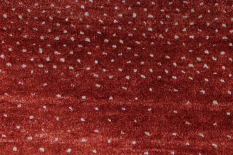 Gabbeh Brown Hand Knotted 30 X 50 Area Rug 250-27663 Image 1
