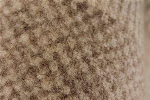 Gabbeh Beige Hand Knotted 30 X 52 Area Rug 250-27672 Image 8