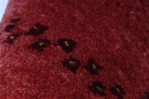 Gabbeh Red Hand Knotted 30 X 51 Area Rug 250-27694 Image 7